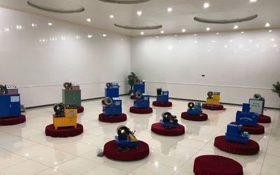 Китай Shanghai Fanying Machinery Technology Co., Ltd.